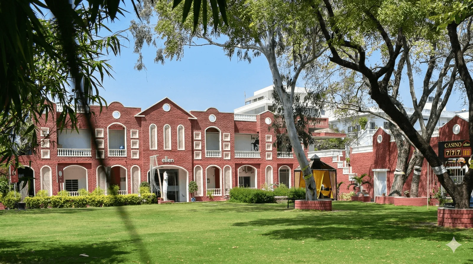 Ellen Foundation Day (23rd May)